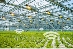 GMO�ʲ�������̫��̼�ʲ���Ŀ����beaconʵ���ҡ������ǻ�ũҵ����ķ�����Ͷ��